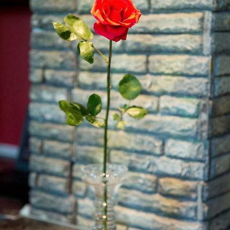 صوفيا Sweet Home المظهر الخارجي الصورة