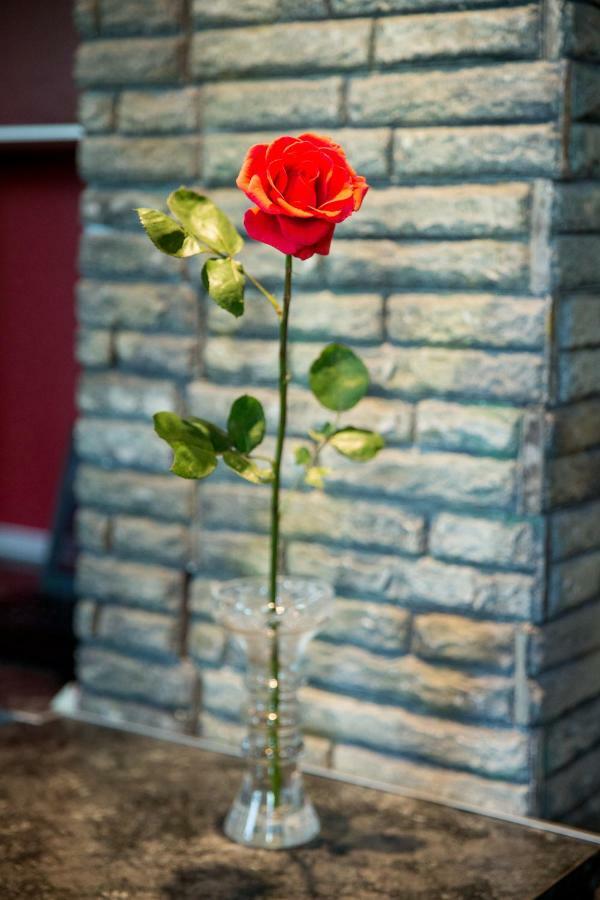 صوفيا Sweet Home المظهر الخارجي الصورة